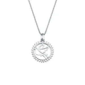 Colar Espirito Santo Cravejado | Banho de Prata